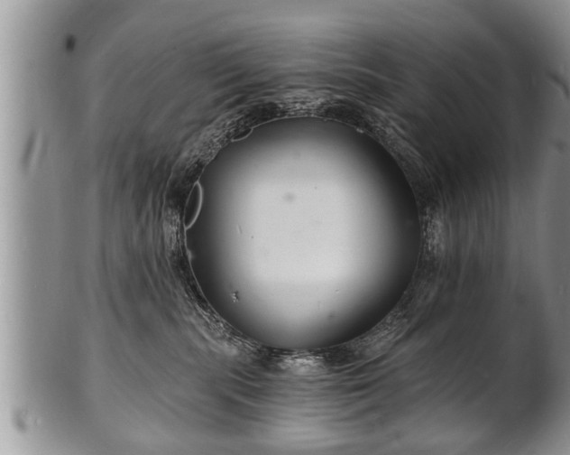 X0000102220283200808011209