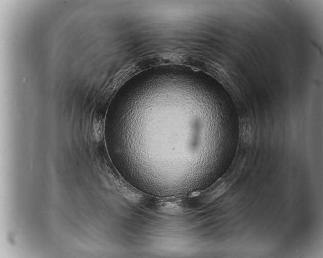 X0000102220285200808011209