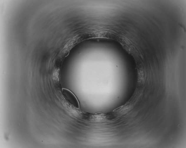 X0000102220286200808011209