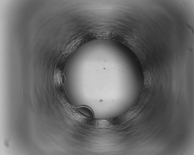 X0000102220287200808011209