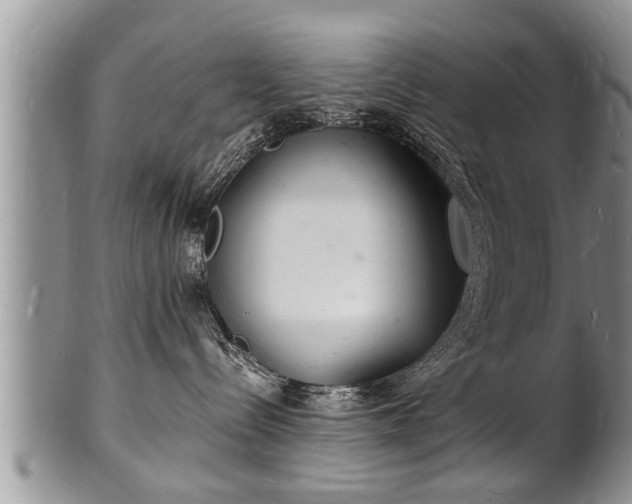 X0000102220288200808011209