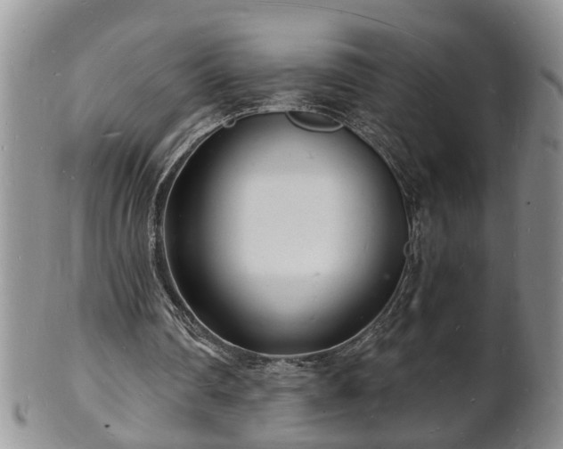 X0000102220290200808011209