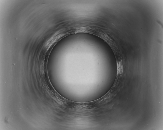 X0000102220291200808011209