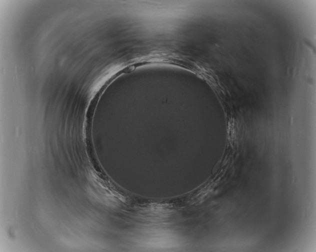 X0000102220292200808011209