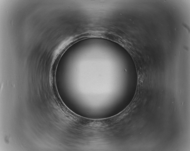 X0000102220294200808011209