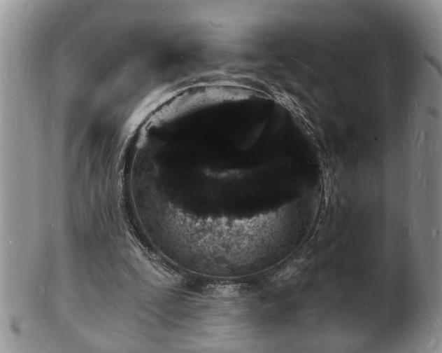 X0000102220295200808011209