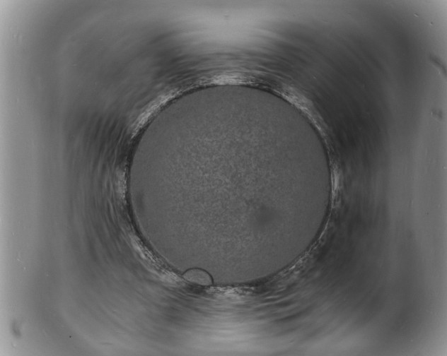 X0000102220297200808011209