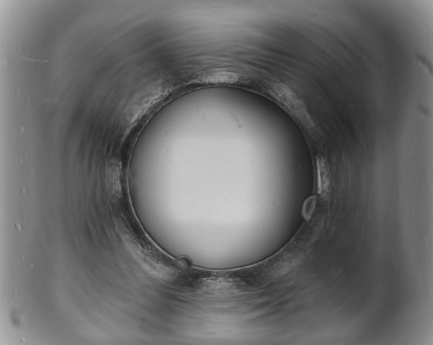 X0000102220300200808011209