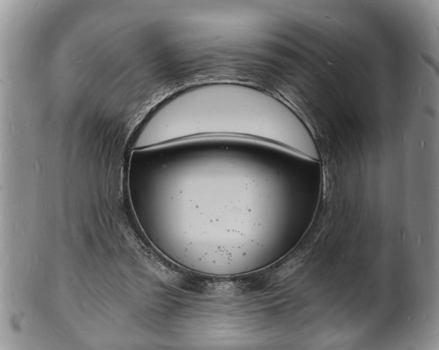 X0000102220301200808011209