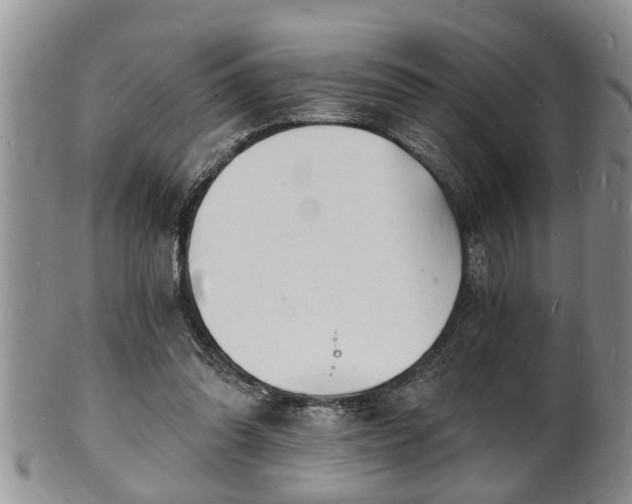 X0000102220302200808011209