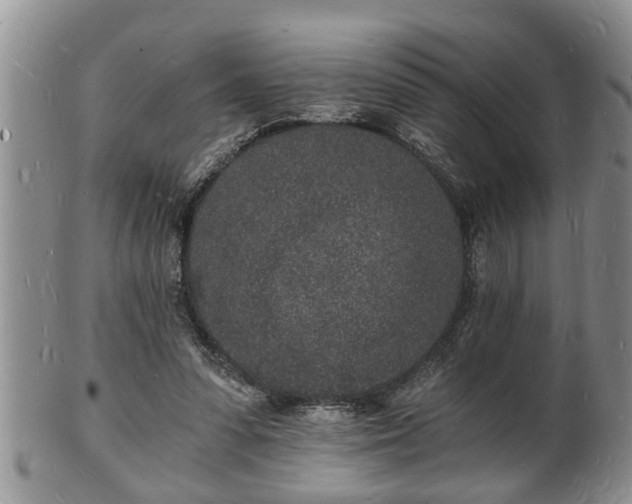 X0000102220303200808011209