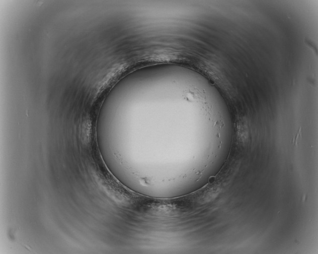 X0000102220304200808011209