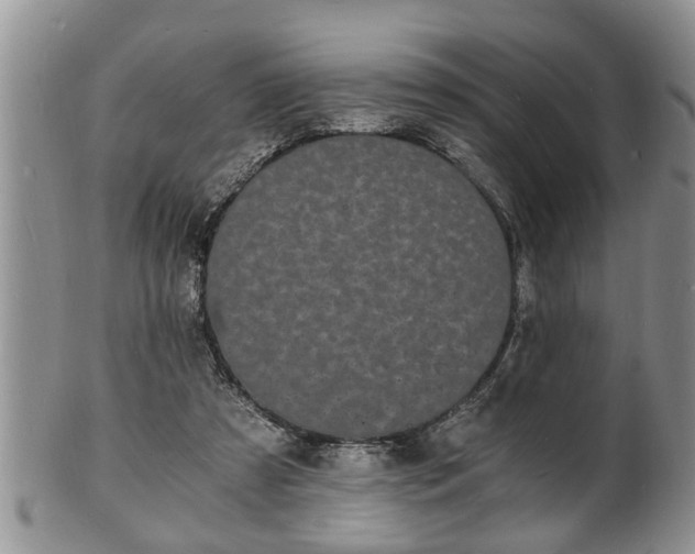 X0000102220305200808011208