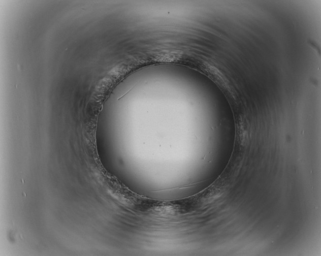 X0000102220307200808011208