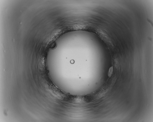 X0000102220308200808011208