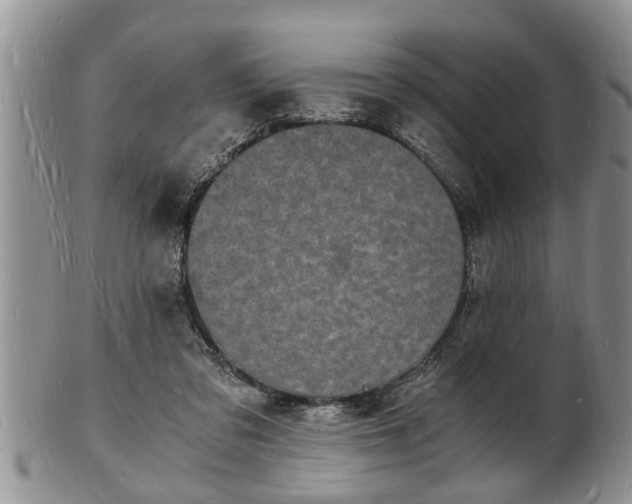 X0000102220309200808011208