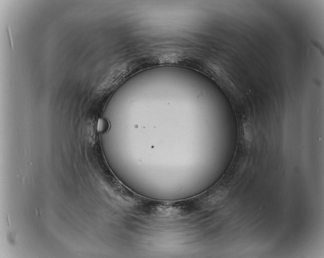 X0000102220311200808011208