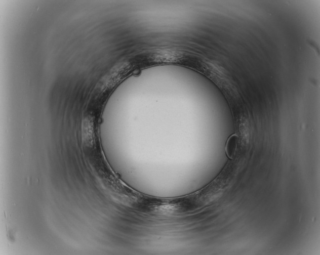 X0000102220312200808011208