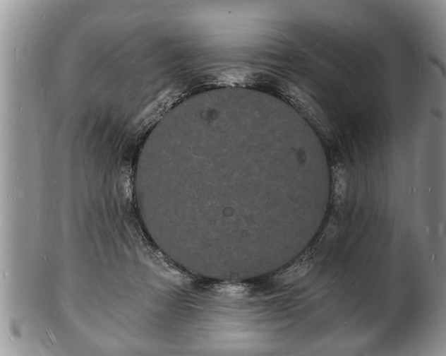 X0000102220313200808011208