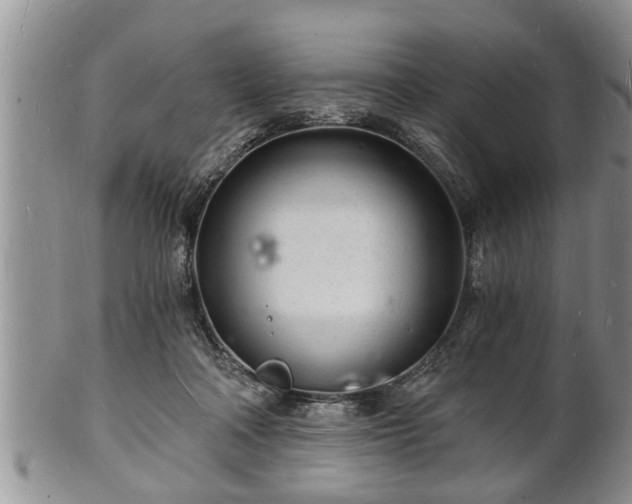 X0000102220314200808011208