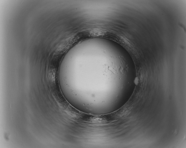 X0000102220315200808011208