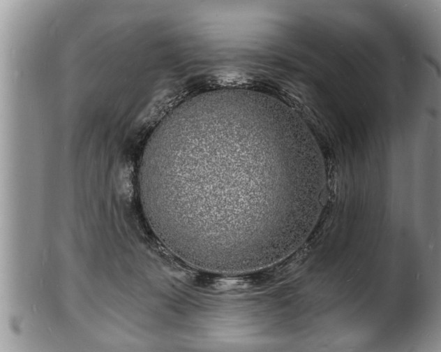 X0000102220319200808011208