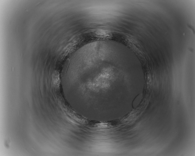 X0000102220320200808011208