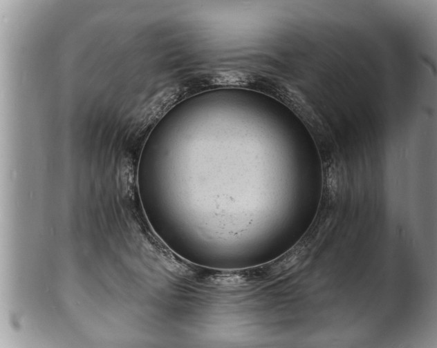 X0000102220322200808011208