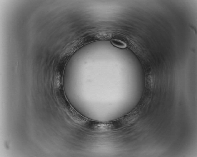 X0000102220323200808011208