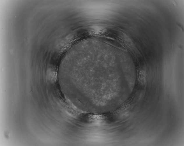 X0000102220324200808011208