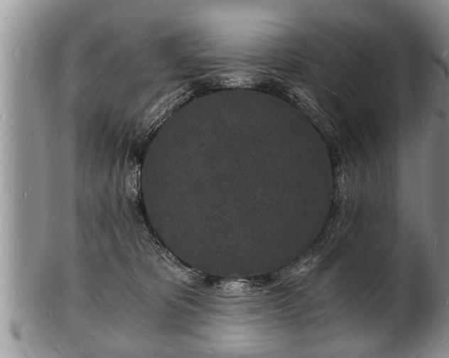 X0000102220325200808011208