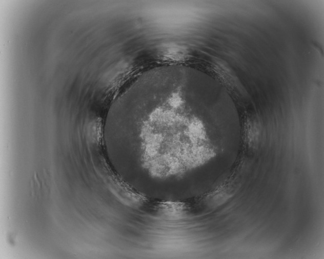 X0000102220328200808011208