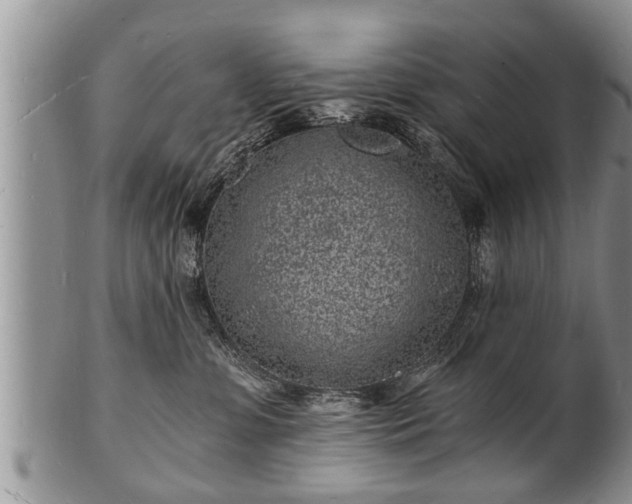 X0000102220331200808011208