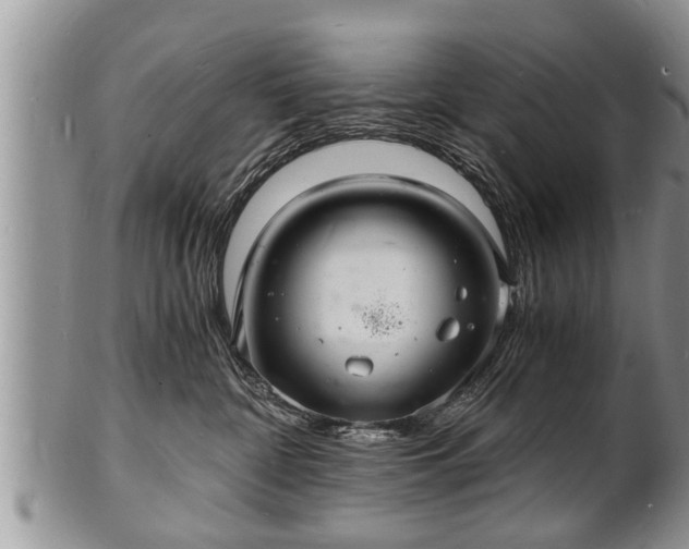 X0000102220332200808011208