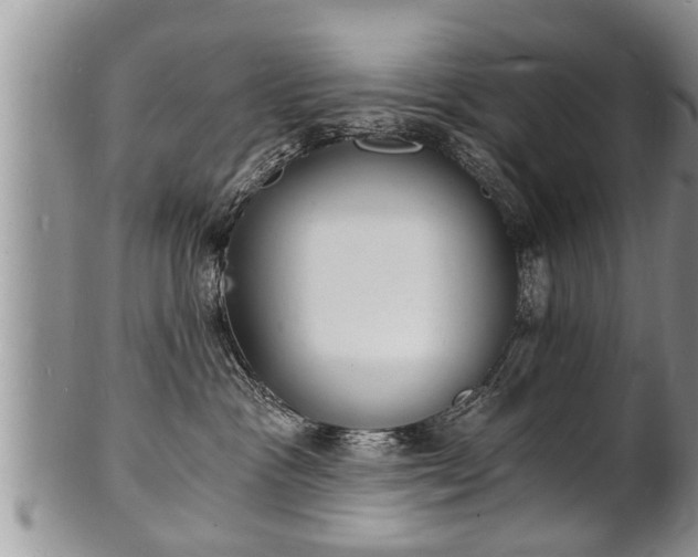 X0000102220333200808011208