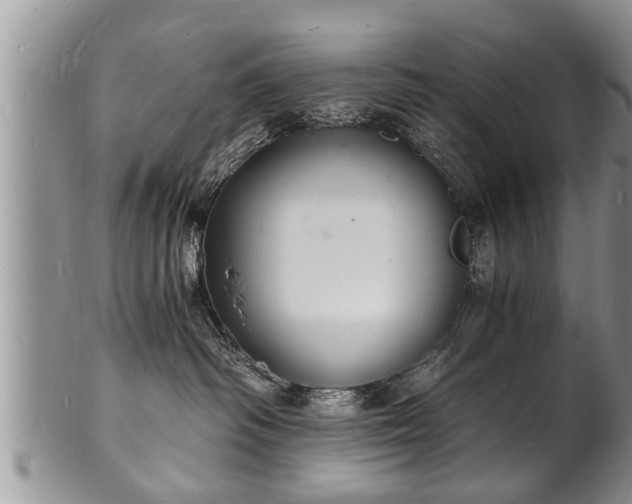 X0000102220334200808011208