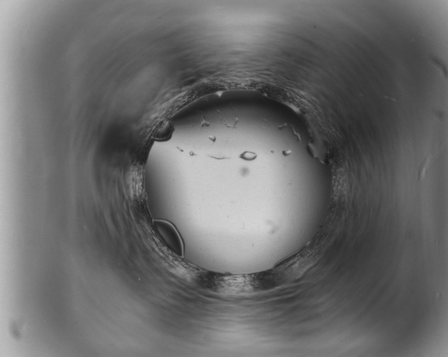 X0000102220335200808011208