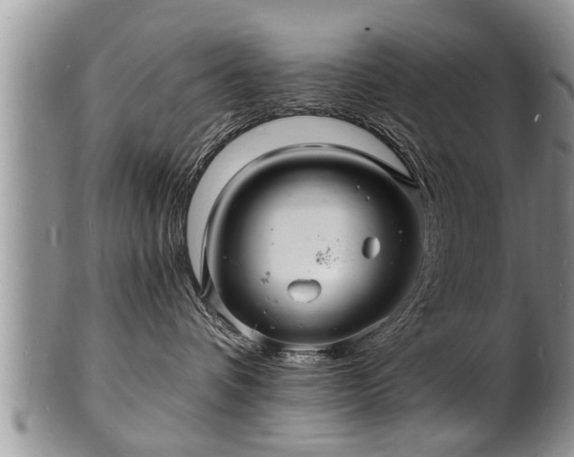 X0000102220336200808011208