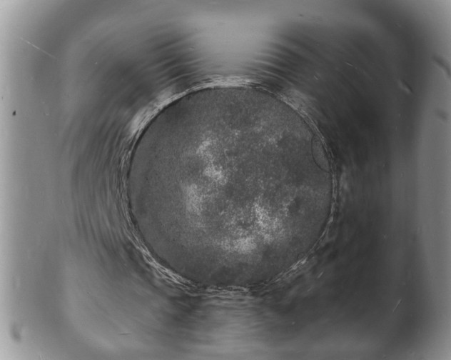 X0000102220337200808011207