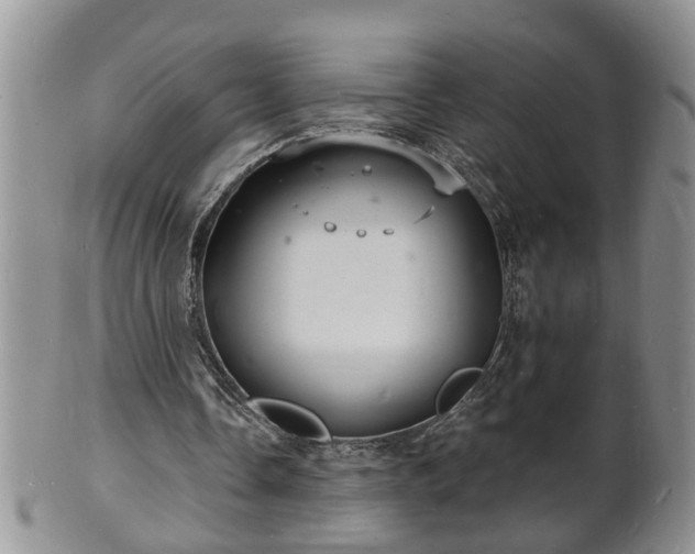 X0000102220338200808011207