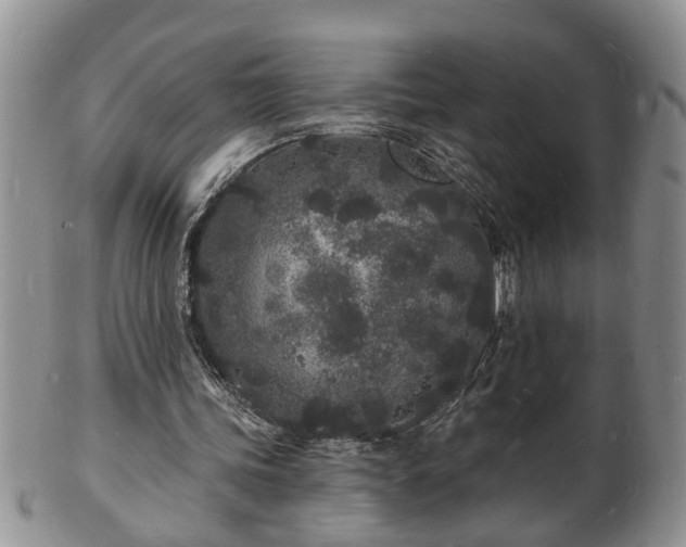 X0000102220339200808011207