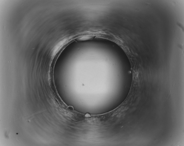 X0000102220340200808011207