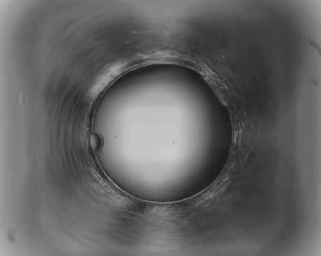 X0000102220341200808011207