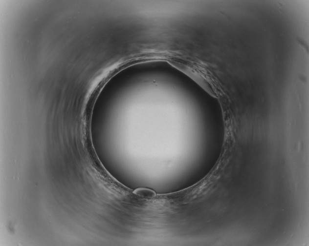 X0000102220342200808011207