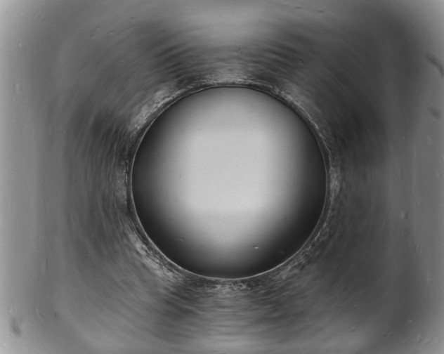 X0000102220345200808011207