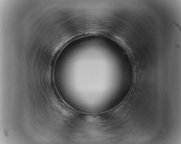 X0000102220346200808011208