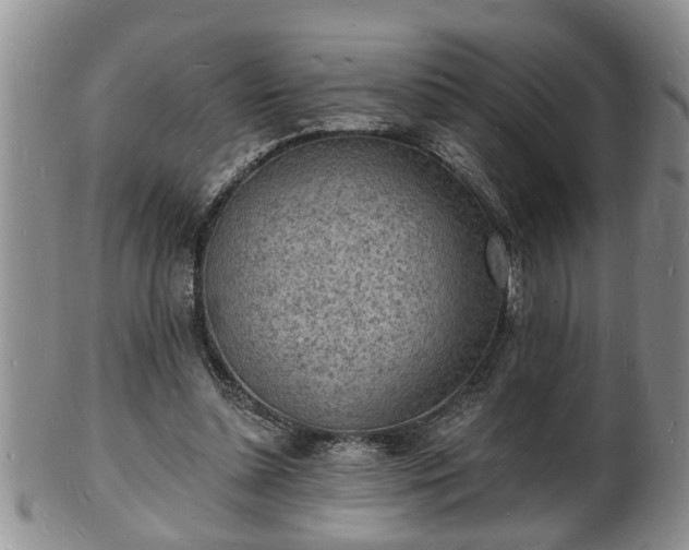 X0000102220348200808011208