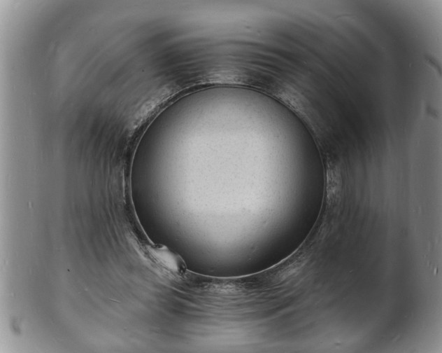 X0000102220349200808011208