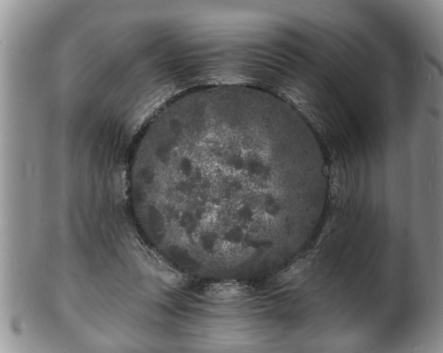 X0000102220351200808011208