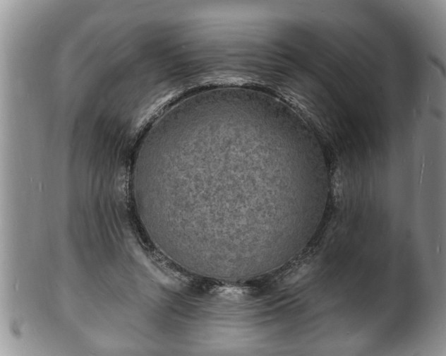 X0000102220352200808011208